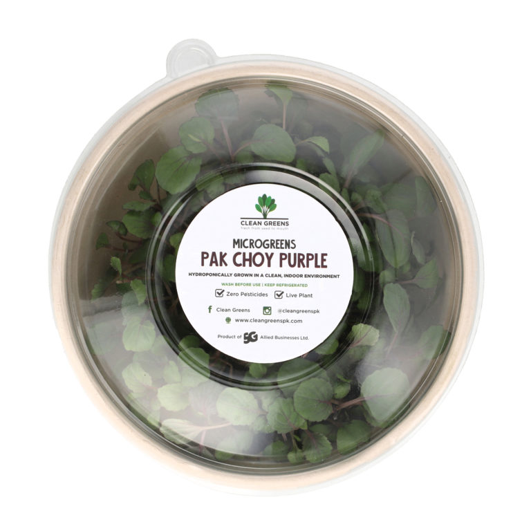 Pak choy Purple -1